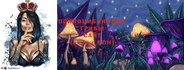 mix Арсеньев