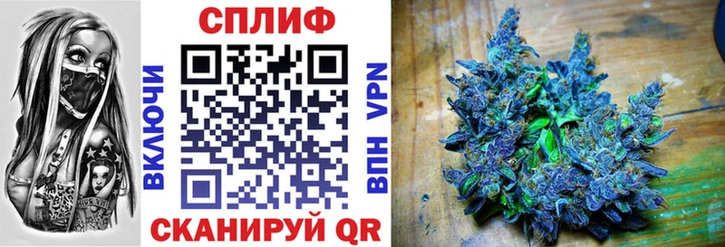 Конопля VHQ  Заозёрный 